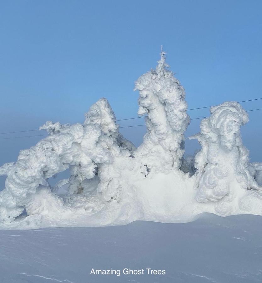 Hafjell Alpinlandsby Apt 88 エクステリア 写真